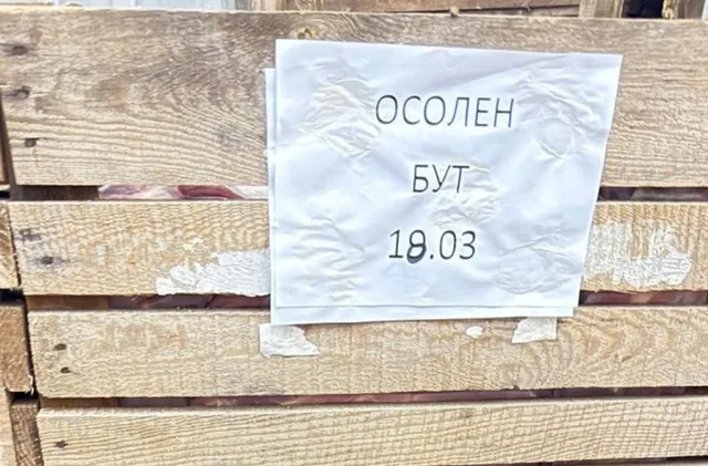 {article.title}