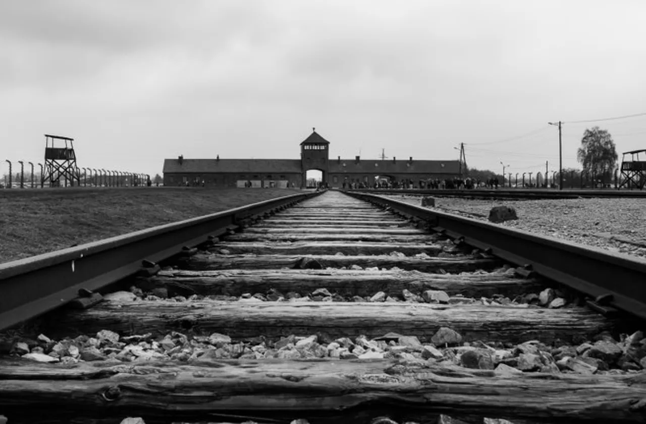 С 9,7 млн. евро Германия праща ученици на посещения в бивши нацистки концлагери