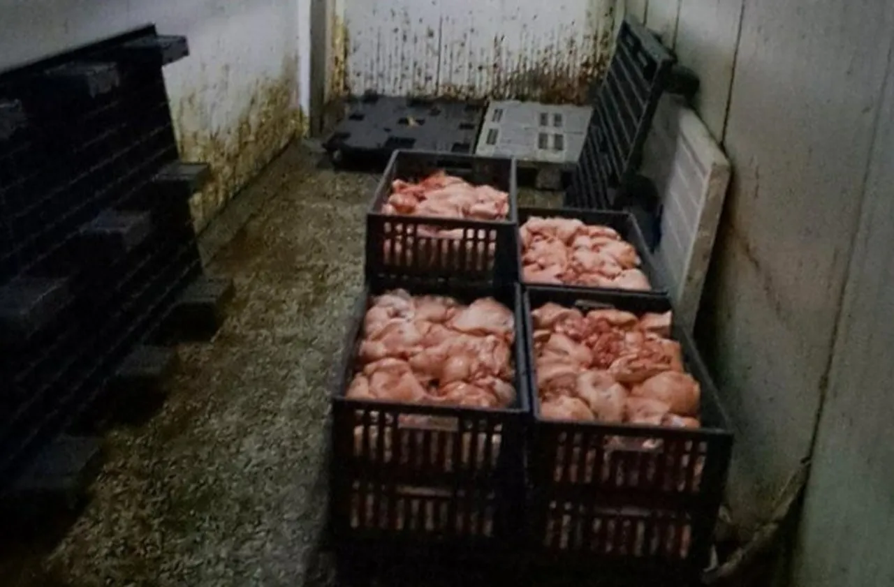 БАБХ спря частично работата на месокомбинат в Свищов