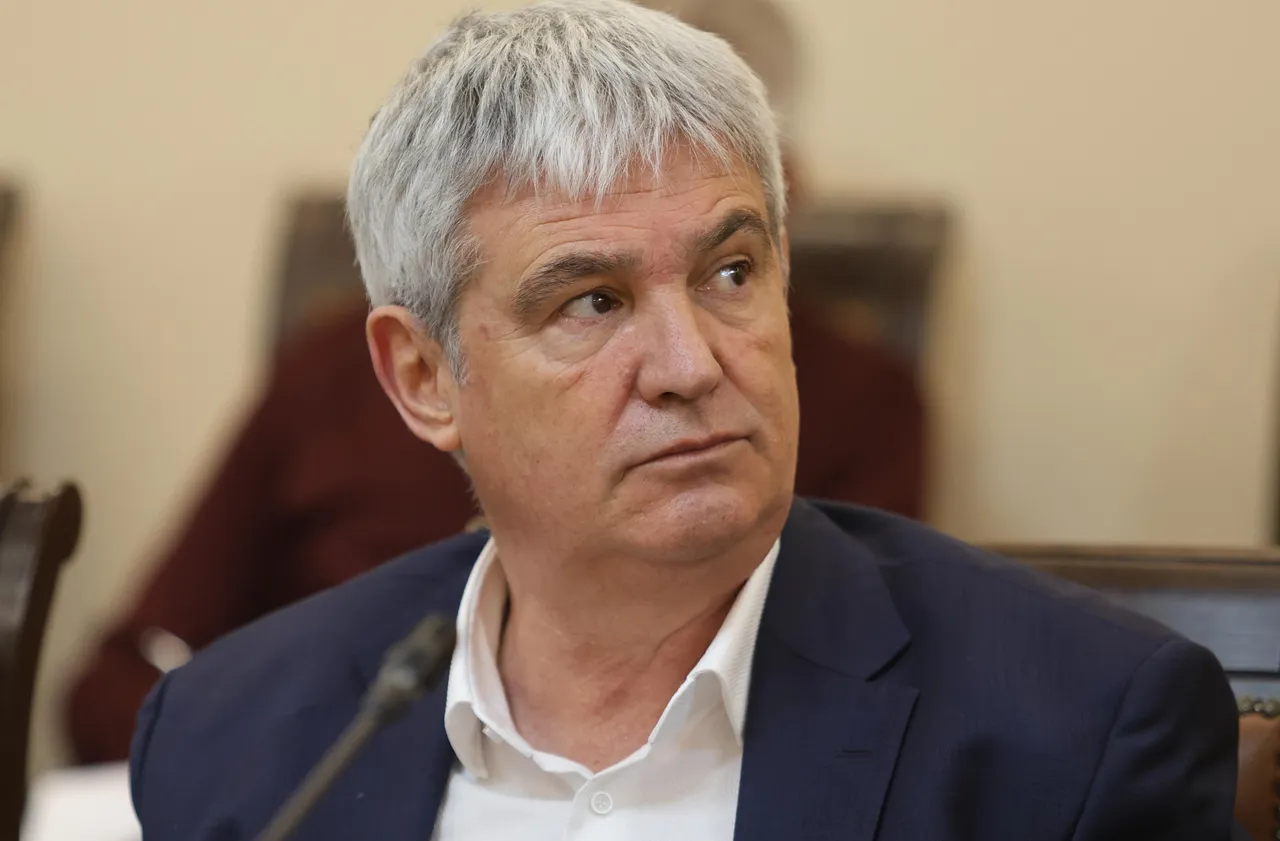 Пламен Димитров: Цените растат бързо, пазарът у нас не работи