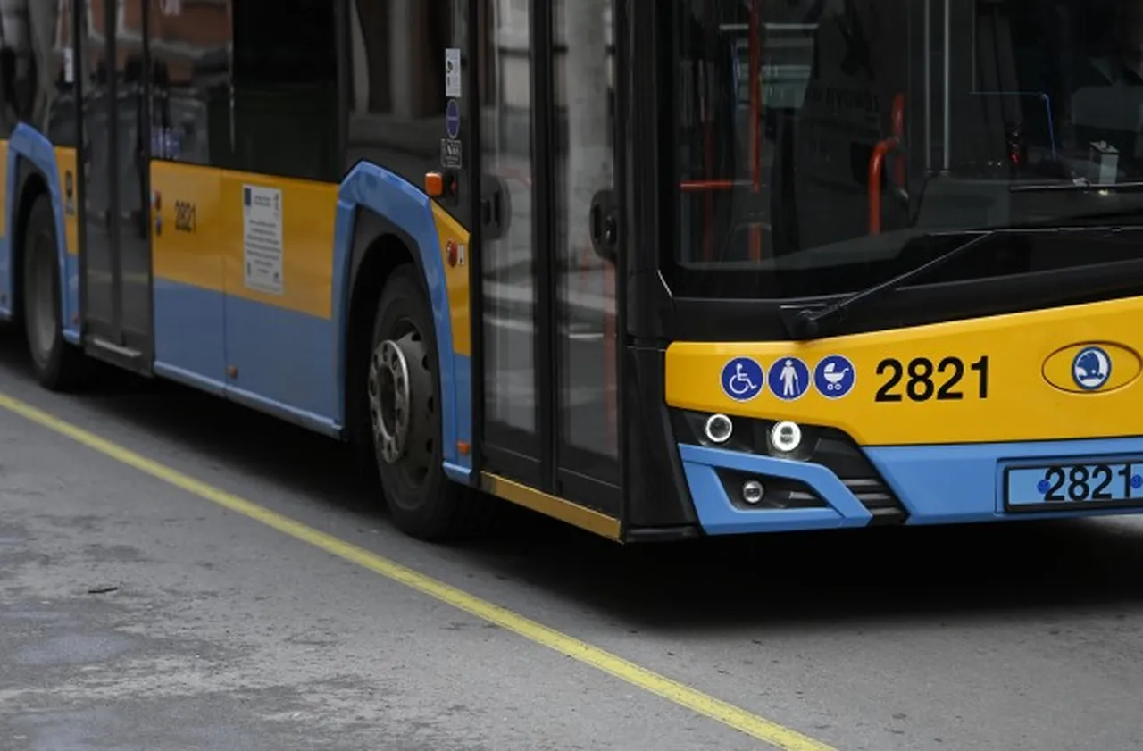 Автобус блъсна възрастен мъж на пешеходна пътека в Пловдив