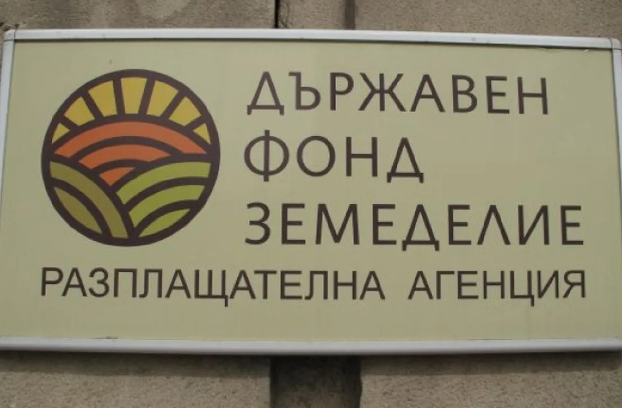 ДФ „Земеделие“ удължава срока за междинни плащания по Стратегическия план