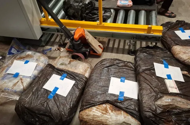 Заловиха над 60 кг марихуана на ГКПП Гюешево, шофьор е задържан