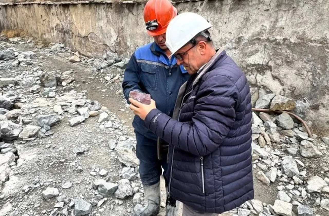 Узбекистан залага $4,2 млрд. за битка за критичните минерали