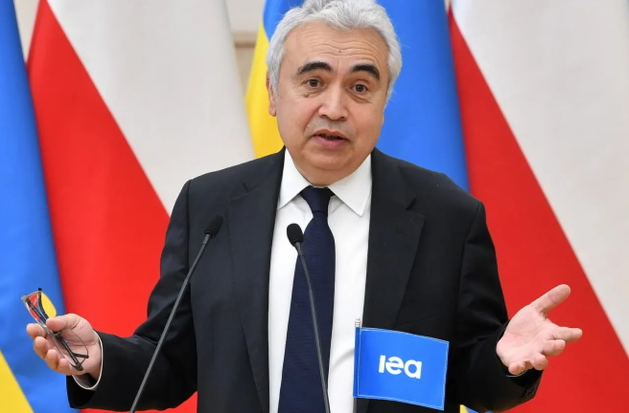 МАЕ призова за безусловно отваряне на Ормузкия проток