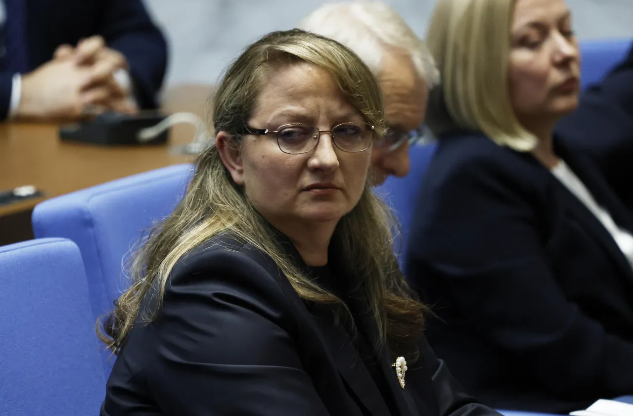 Деница Сачева сезира ПАСЕ за нападения срещу български обекти в РСМ