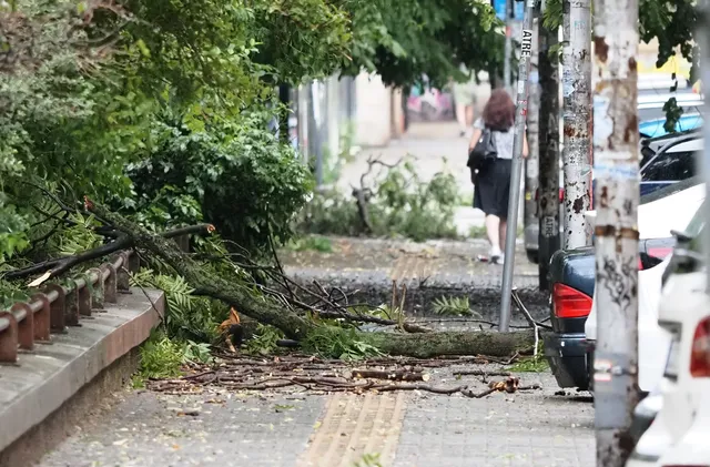 Ураган помете Южното Черноморие, бурята нанесе щети (ОБНОВЕНА)
